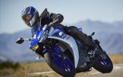 Yamaha YZF-R3 2015 (11)