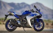 Yamaha YZF-R3 2015 (22)