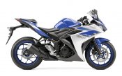 Yamaha YZF-R3 2015 (25)