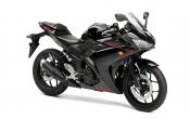 Yamaha YZF-R3 2015 (28)