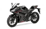 Yamaha YZF-R3 2015 (31)