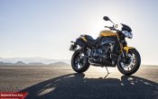 Triumph Speed Triple 94 2015-1