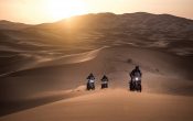 Honda CRF1000L Africa Twin 2016 (56)