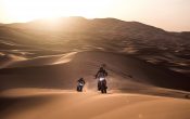 Honda CRF1000L Africa Twin 2016 (57)