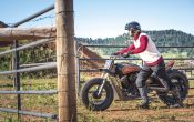 Indian Scout Black Hills Beast Custombike 2015 (55)