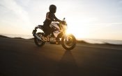 BMW G 310 R 2016 - Action (15)