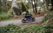 BMW G 310 R 2016 - Action (18)