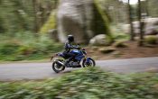 BMW G 310 R 2016 - Action (19)