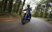 BMW G 310 R 2016 - Action (25)