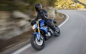 BMW G 310 R 2016 - Action (46)