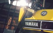 Yamaha MT-09 Umbau - Yard Built 900 Faster Wasp 2015 (18)