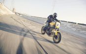 Yamaha MT-09 Umbau - Yard Built 900 Faster Wasp 2015 (5)