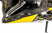 BMW R 1200 RS LC Ilmberger Carbonparts 2016 (32)